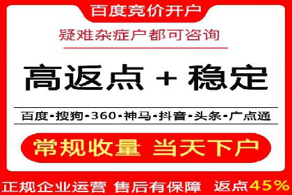 百度SEO推广公司成功案例：助力企业实现流量暴增